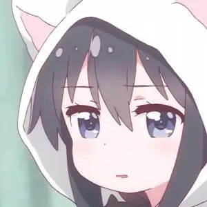 弗兰奇 海贼王漫画 船匠